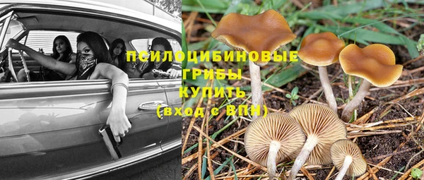 трава Армянск