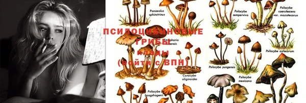 прущая мука Зеленокумск