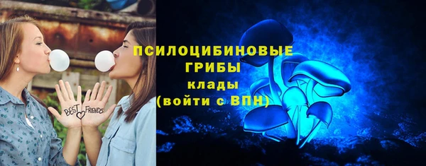 spice Сатка