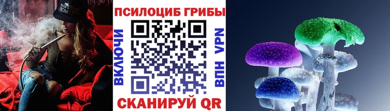 блэк спрут зеркало Бородино Псилоцибиновые грибы мухоморы